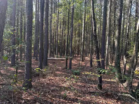 00 Wagontrain Rd, Mcrae, AR 72102 photo 3