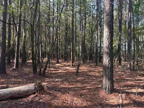00 Wagontrain Rd, Mcrae, AR 72102 photo 4
