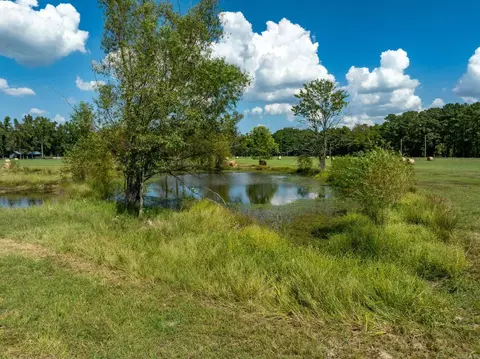 000 Sunshine Ln, Pangburn, AR 72121 photo 27