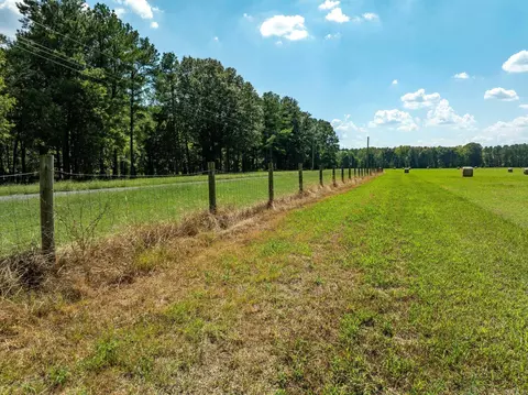 000 Sunshine Ln, Pangburn, AR 72121 photo 20
