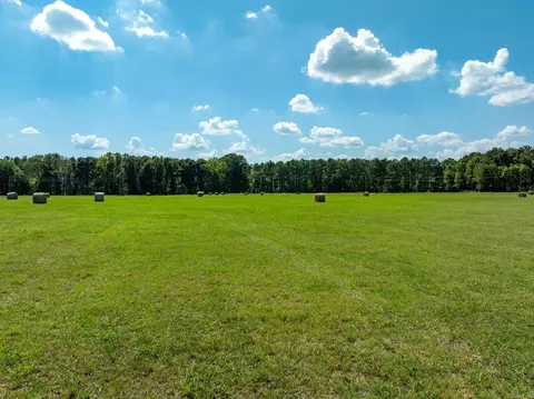 000 Sunshine Ln, Pangburn, AR 72121 photo 25