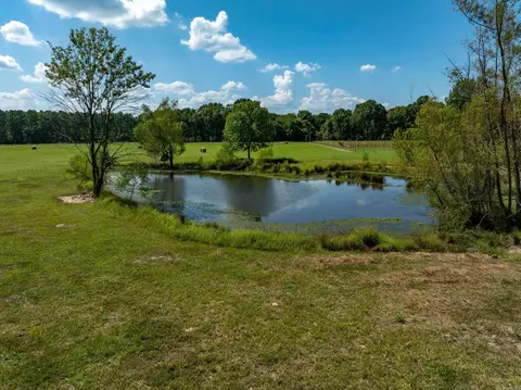 000 Sunshine Ln, Pangburn, AR 72121 photo 24