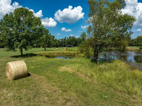 000 Sunshine Ln, Pangburn, AR 72121 photo 28