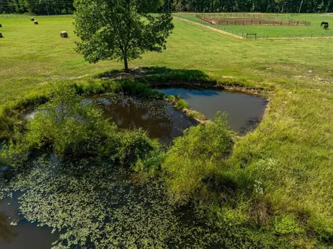 000 Sunshine Ln, Pangburn, AR 72121 photo 31