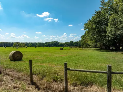 000 Sunshine Ln, Pangburn, AR 72121 photo 3