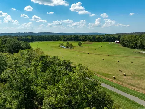 000 Sunshine Ln, Pangburn, AR 72121 photo 19
