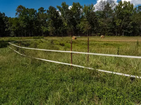 000 Sunshine Ln, Pangburn, AR 72121 photo 50