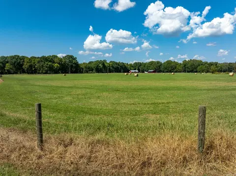 000 Sunshine Ln, Pangburn, AR 72121 photo 38
