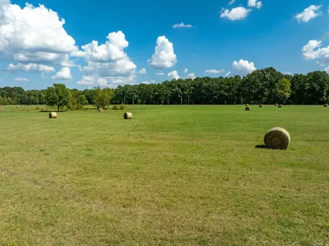 000 Sunshine Ln, Pangburn, AR 72121 photo 35