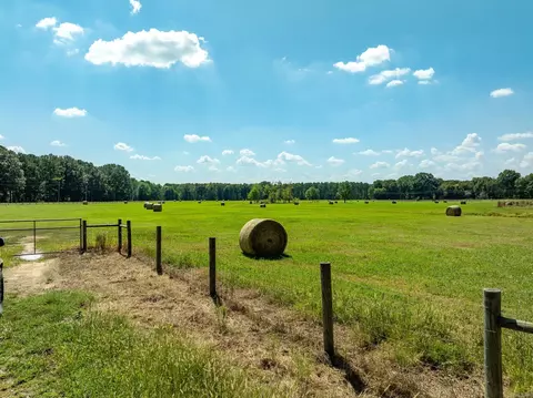 000 Sunshine Ln, Pangburn, AR 72121 photo 4