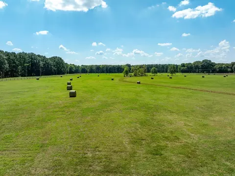 000 Sunshine Ln, Pangburn, AR 72121 photo 6