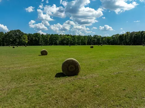 000 Sunshine Ln, Pangburn, AR 72121 photo 34