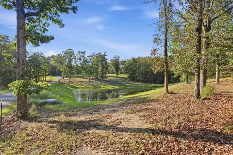 View/Area - 415 Jackson Rd S, Damascus, AR 72039 photo 1 of 5
