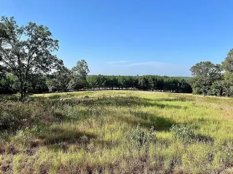 View/Area - 415 Jackson Rd S, Damascus, AR 72039 photo 2 of 5