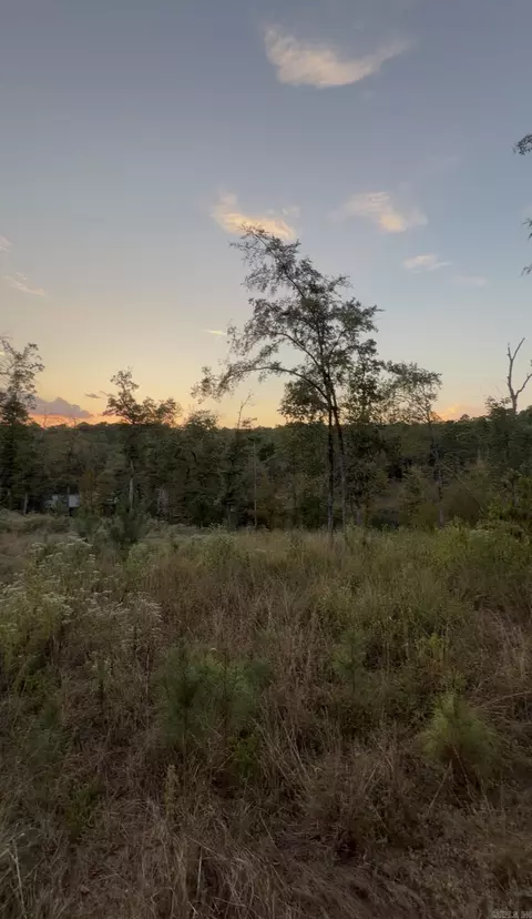 000 Arapaho Loop, Royal, AR 71968 photo 9
