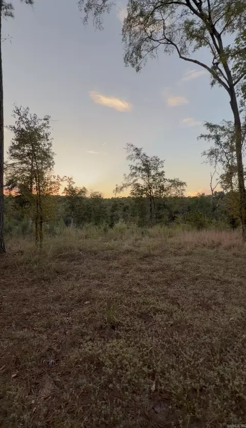 000 Arapaho Loop, Royal, AR 71968 photo 8
