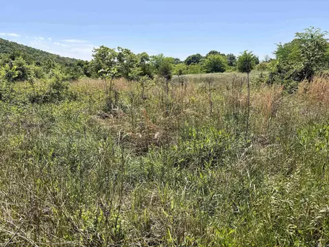 002 Burkett Flat Rd, Greenbrier, AR 72058 photo 21