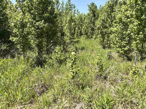002 Burkett Flat Rd, Greenbrier, AR 72058 photo 30