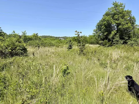 002 Burkett Flat Rd, Greenbrier, AR 72058 photo 26