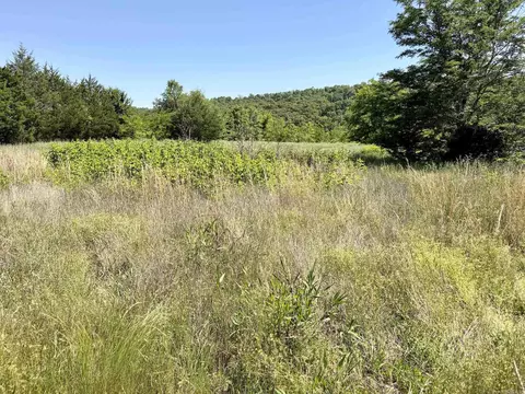 002 Burkett Flat Rd, Greenbrier, AR 72058 photo 41