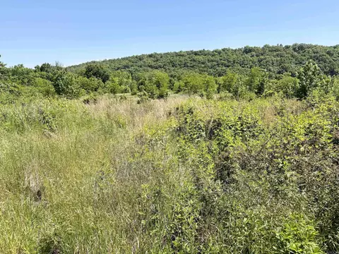 002 Burkett Flat Rd, Greenbrier, AR 72058 photo 28