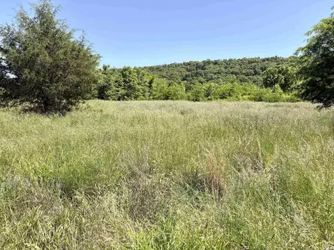 002 Burkett Flat Rd, Greenbrier, AR 72058 photo 43