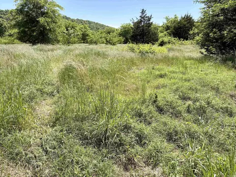 002 Burkett Flat Rd, Greenbrier, AR 72058 photo 42