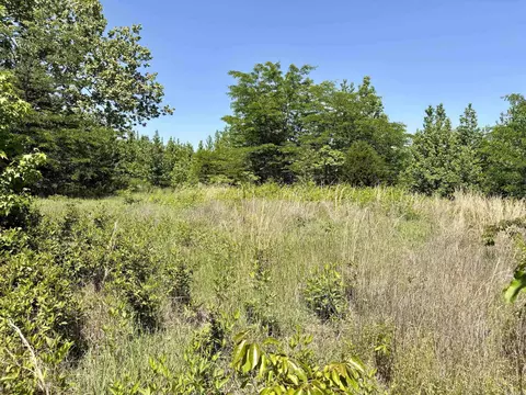 002 Burkett Flat Rd, Greenbrier, AR 72058 photo 34