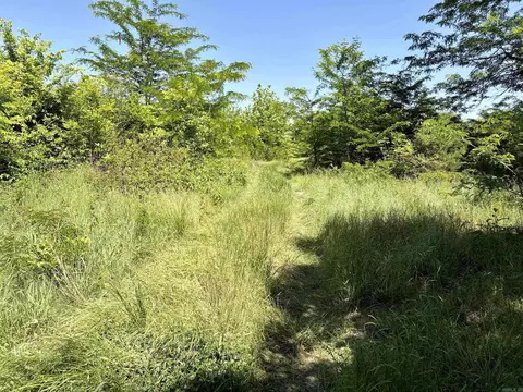 002 Burkett Flat Rd, Greenbrier, AR 72058 photo 45