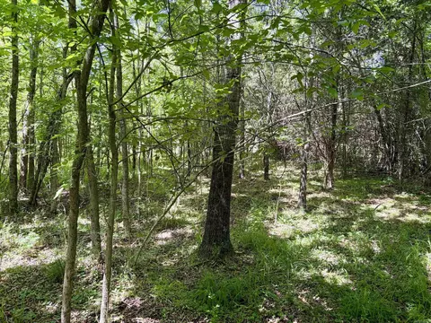 002 Burkett Flat Rd, Greenbrier, AR 72058 photo 18