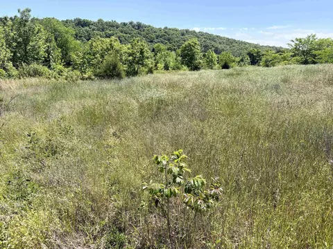 002 Burkett Flat Rd, Greenbrier, AR 72058 photo 22