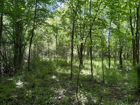 002 Burkett Flat Rd, Greenbrier, AR 72058 photo 19