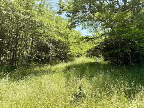 002 Burkett Flat Rd, Greenbrier, AR 72058 photo 9