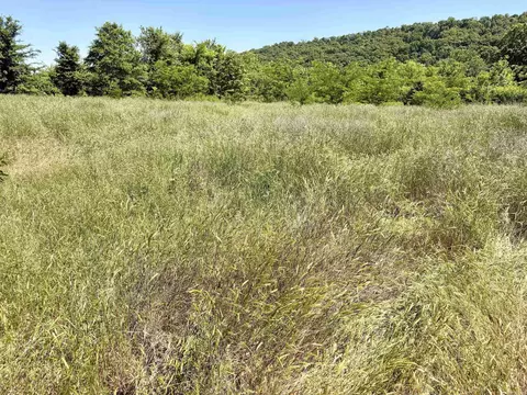 002 Burkett Flat Rd, Greenbrier, AR 72058 photo 44