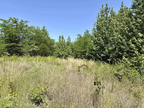 002 Burkett Flat Rd, Greenbrier, AR 72058 photo 35