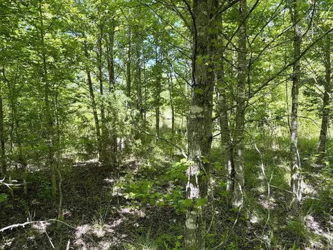 002 Burkett Flat Rd, Greenbrier, AR 72058 photo 33