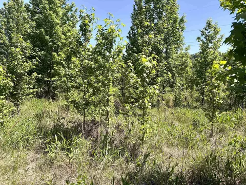 002 Burkett Flat Rd, Greenbrier, AR 72058 photo 32