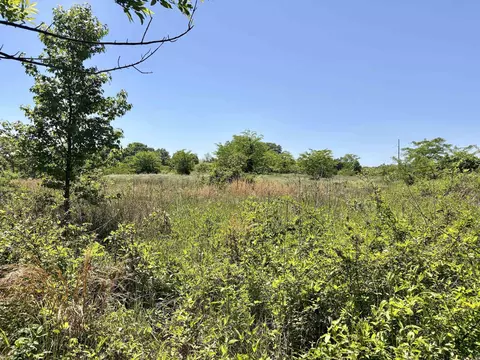 002 Burkett Flat Rd, Greenbrier, AR 72058 photo 20