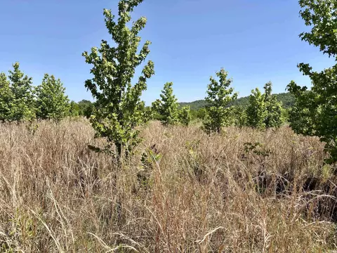 002 Burkett Flat Rd, Greenbrier, AR 72058 photo 37