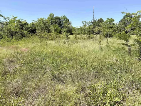 002 Burkett Flat Rd, Greenbrier, AR 72058 photo 23
