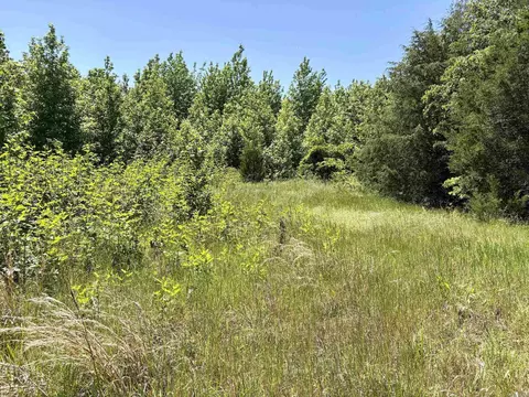002 Burkett Flat Rd, Greenbrier, AR 72058 photo 36