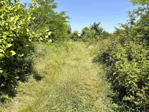 002 Burkett Flat Rd, Greenbrier, AR 72058 photo 46