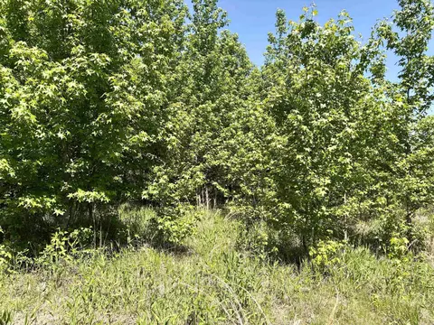 002 Burkett Flat Rd, Greenbrier, AR 72058 photo 31