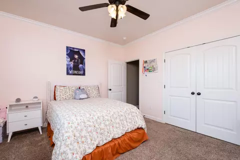 Bedroom - 9105 Stone Canyon Dr, Alexander, AR 72002 photo 3 of 6