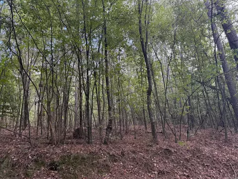 000 W Cherry St, Tull, AR 72015 photo 6