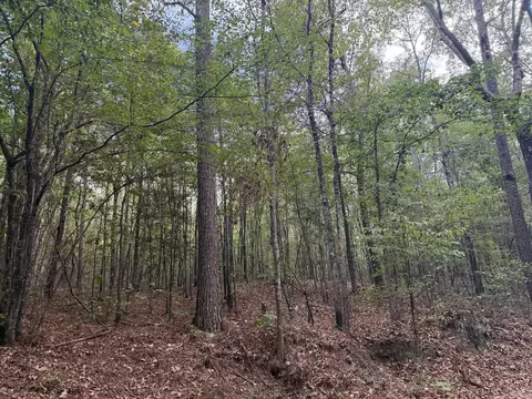 000 W Cherry St, Tull, AR 72015 photo 7