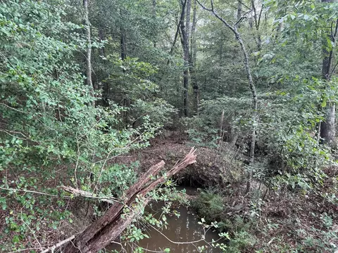 000 W Cherry St, Tull, AR 72015 photo 4