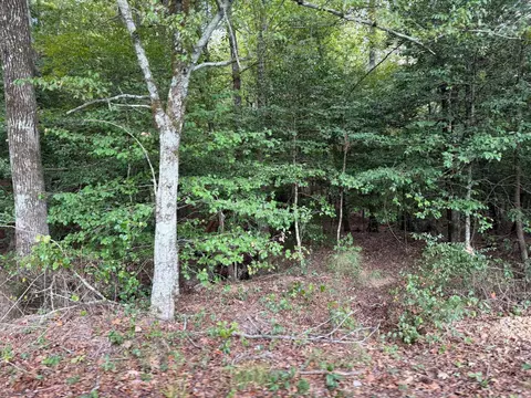 000 W Cherry St, Tull, AR 72015 photo 11