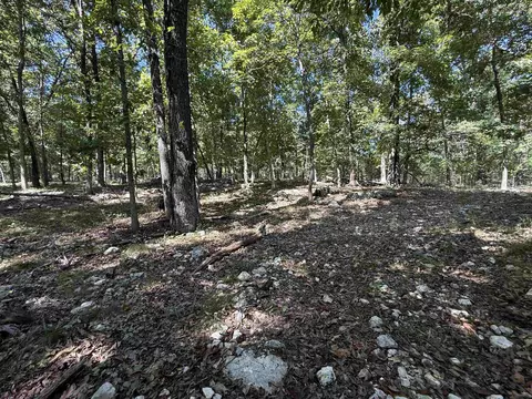 Exterior - 83 Buckboard Dr, Williford, AR 72482 photo 11 of 14