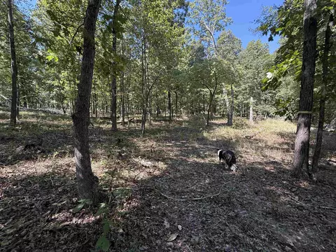 Exterior - 83 Buckboard Dr, Williford, AR 72482 photo 12 of 14